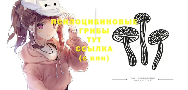 хочу   Жиздра  Псилоцибиновые грибы Magic Shrooms 